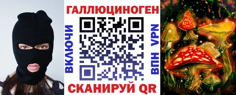 где купить наркоту  Горняк  Псилоцибиновые грибы Psilocybine cubensis 